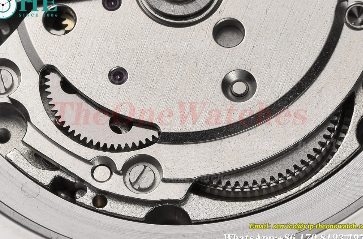 GDF SS Portofino 150th SS Dial MY8215 White Dia Markers 40mm LE 0108